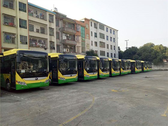 郴汽集團(tuán)嘉禾城鄉(xiāng)公交好司機(jī)，百萬(wàn)存折尋失主