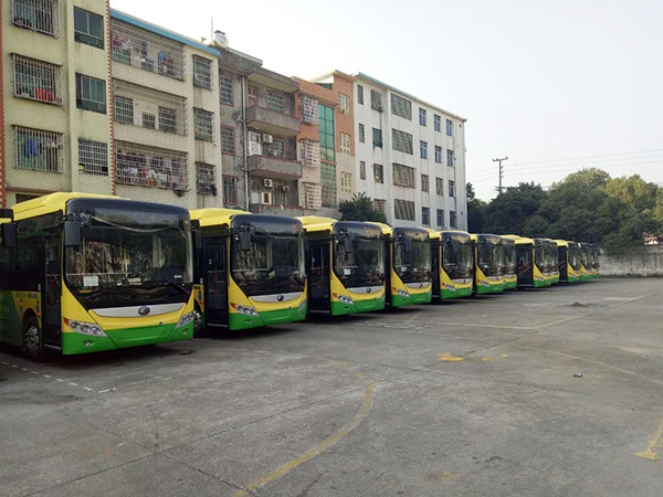 郴汽集團(tuán)嘉禾城鄉(xiāng)公交好司機(jī)，百萬(wàn)存折尋失主